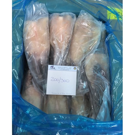 CODA RANA PESC   200/300